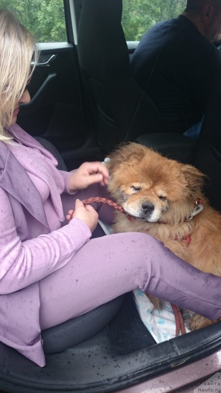 Фото: Симба