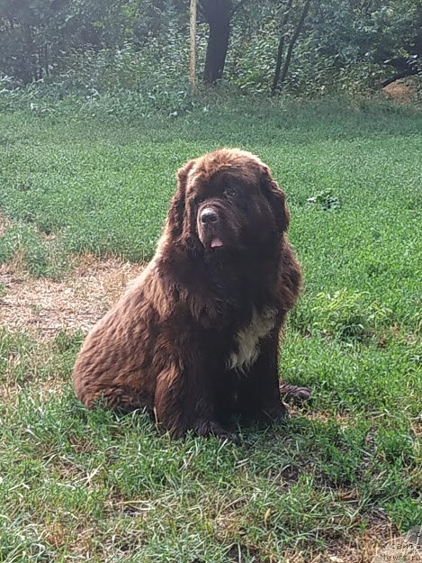 Фотография № 244037