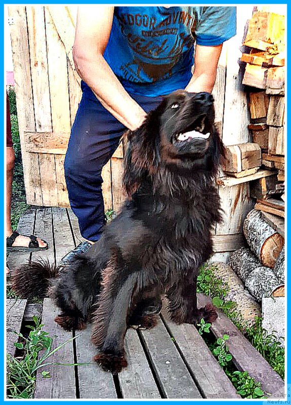 Фотография № 244038