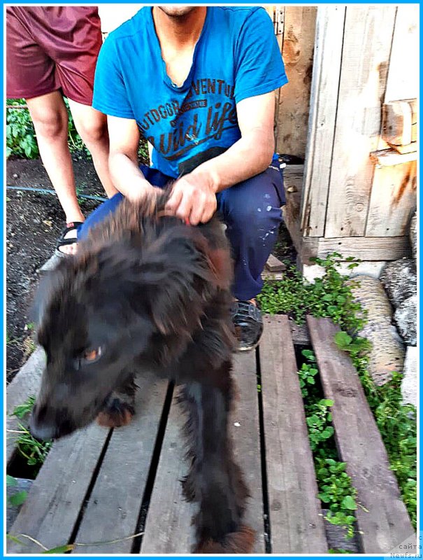 Фотография № 244040