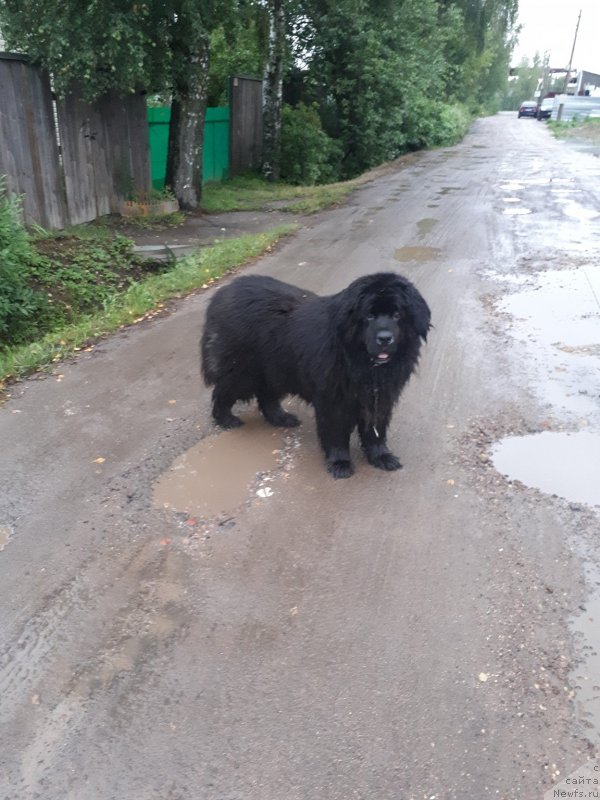 Фотография № 244041