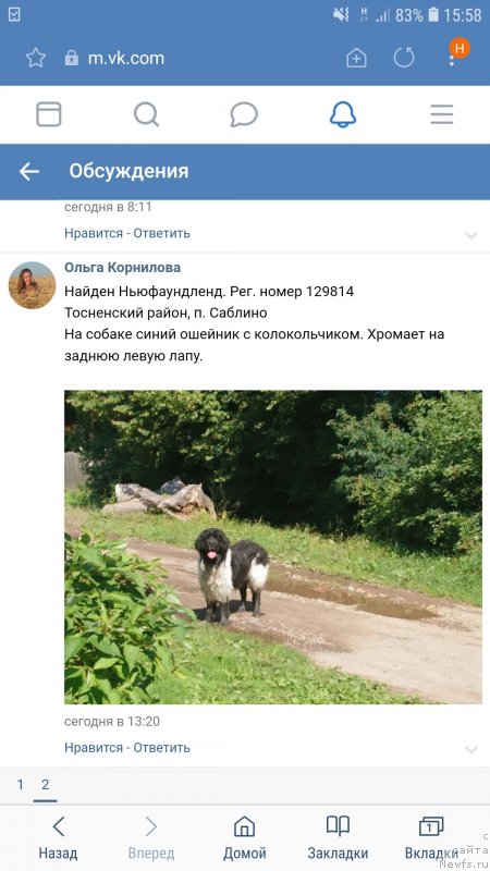 Фотография № 244058