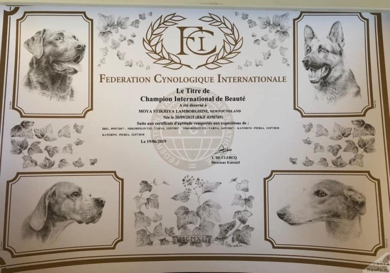 Фотография № 244059