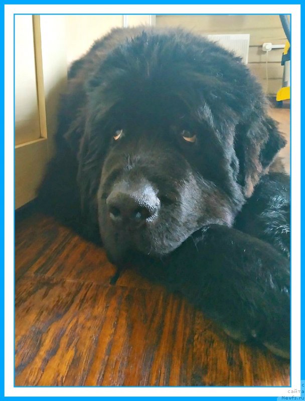 Фотография № 244071