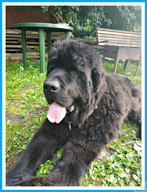 Фотография № 244073