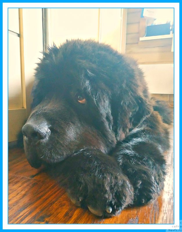 Фотография № 244074