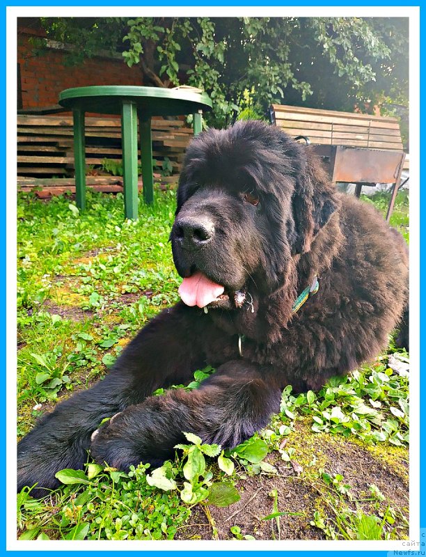 Фотография № 244075