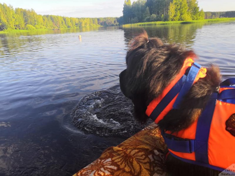 Фотография № 244087