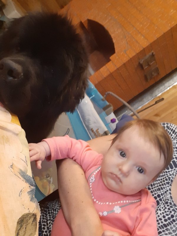 Фотография № 244091