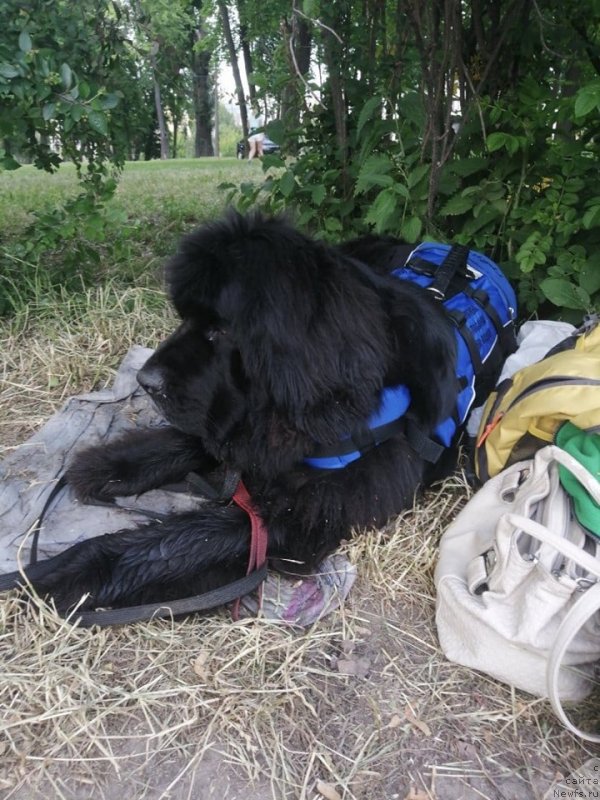 Фотография № 244115