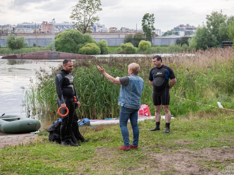 Фото: ньюфаундленд Смигар Грин Брук