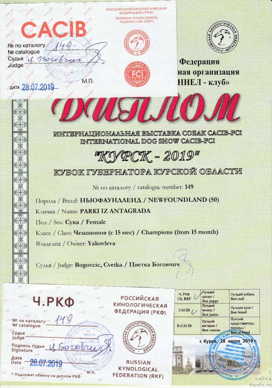 Фото: ньюфаундленд Парки из Антаграда (Parki is Antagrada)