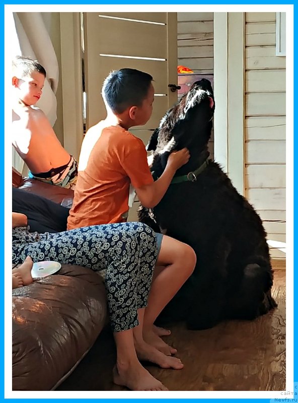 Фотография № 244125