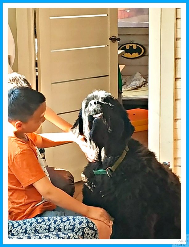 Фотография № 244126