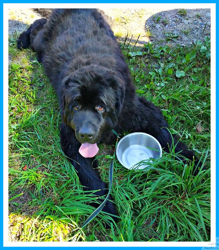 Фотография № 244131