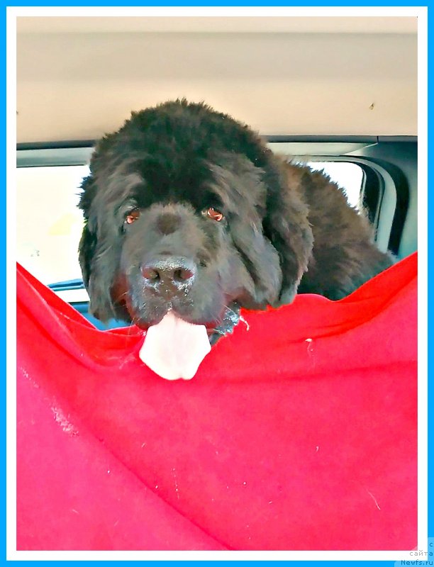 Фотография № 244134