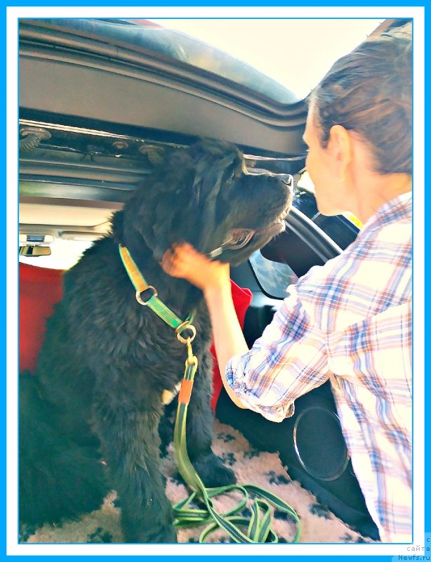 Фотография № 244135