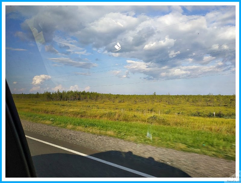 Фотография № 244137