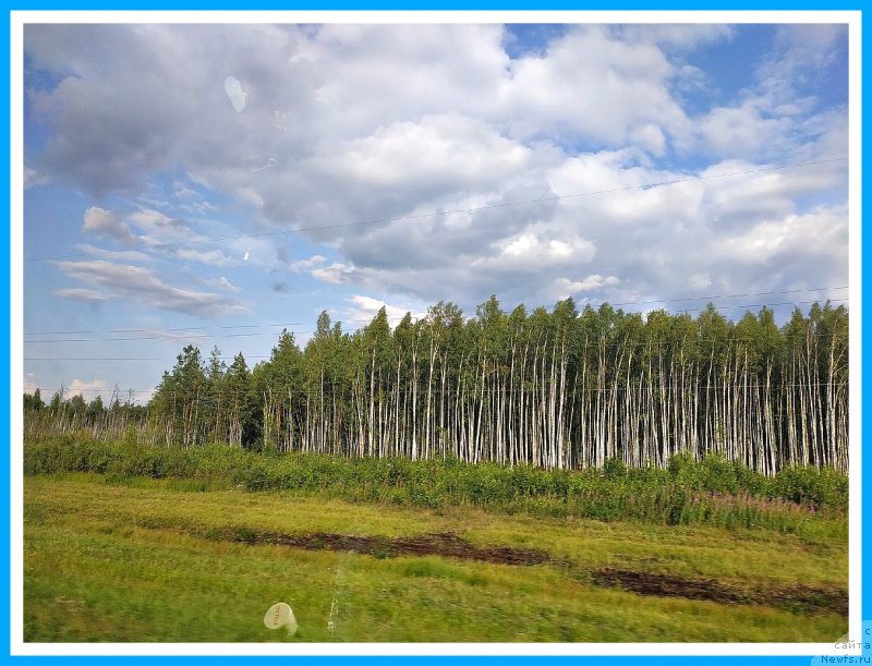 Фотография № 244138