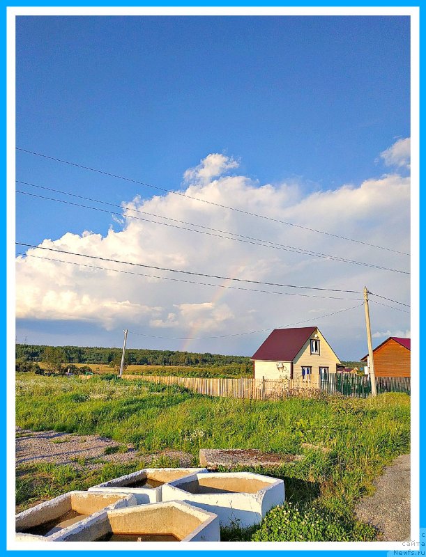 Фотография № 244139