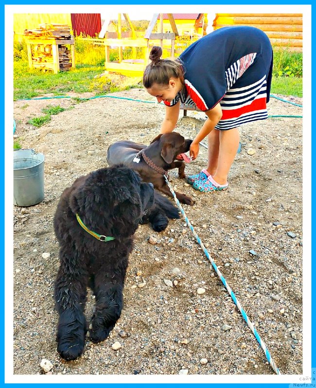 Фотография № 244140