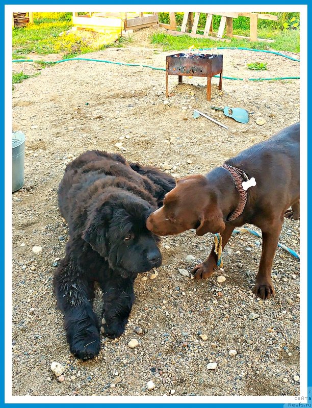 Фотография № 244141