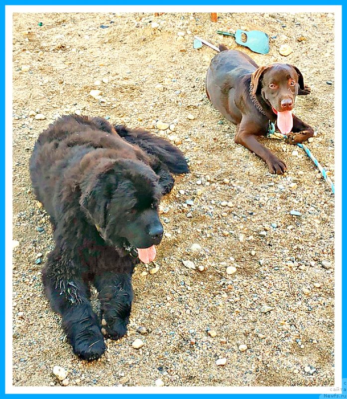 Фотография № 244142