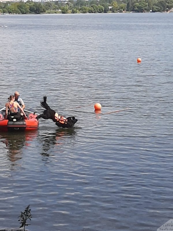 Фотография № 244143