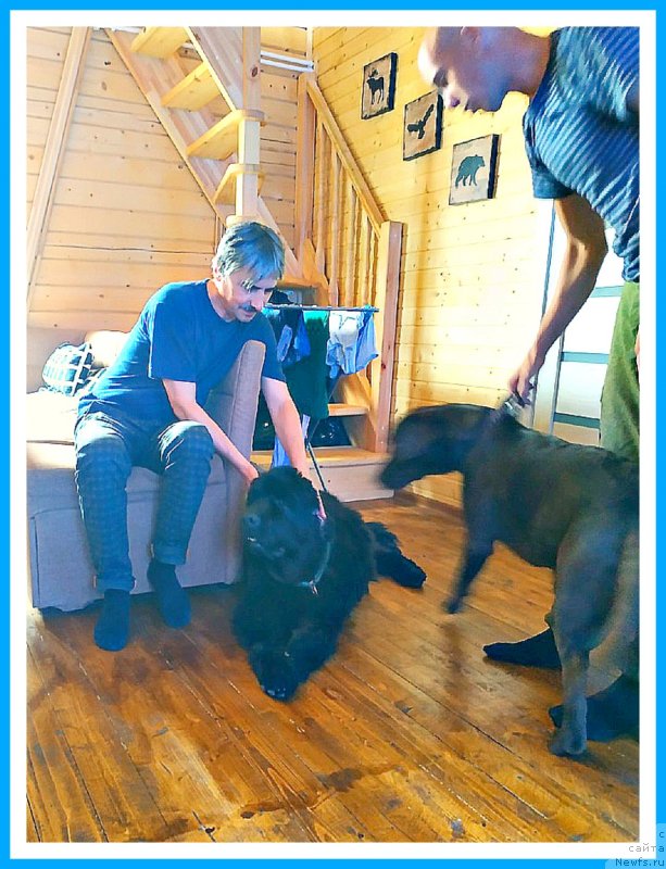 Фотография № 244158