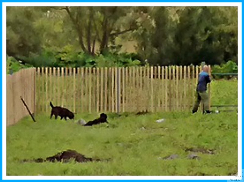 Фотография № 244167