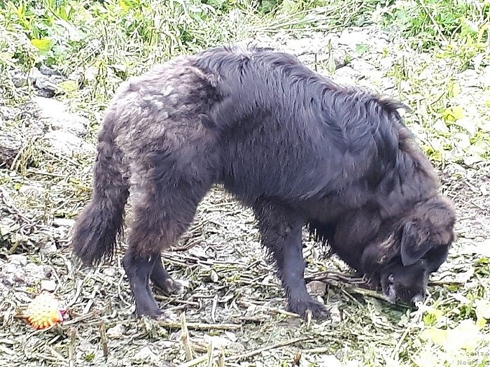 Фотография № 244178