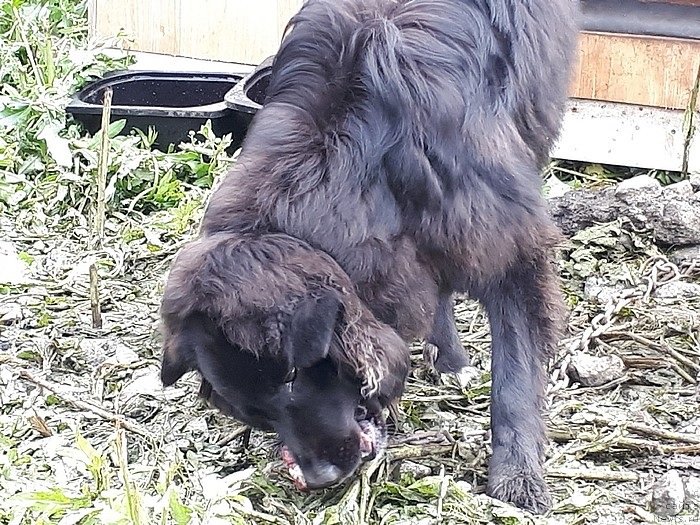 Фотография № 244179