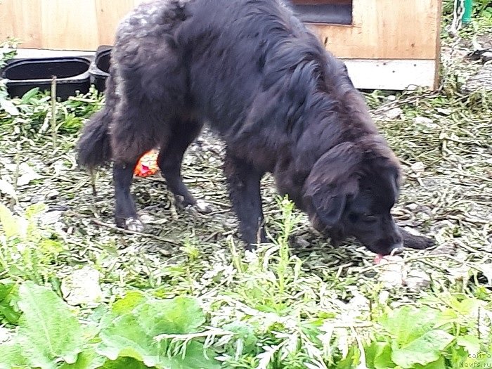 Фотография № 244180