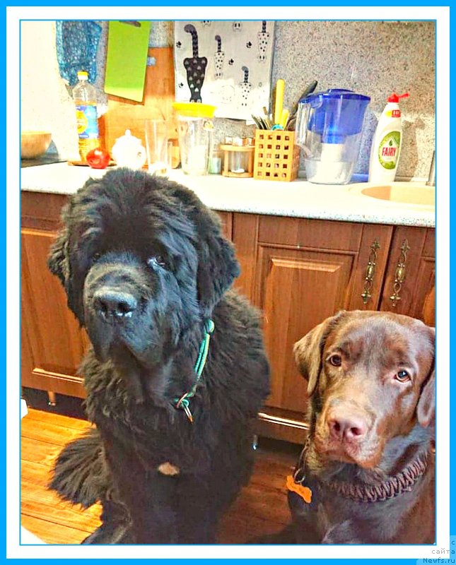 Фотография № 244181