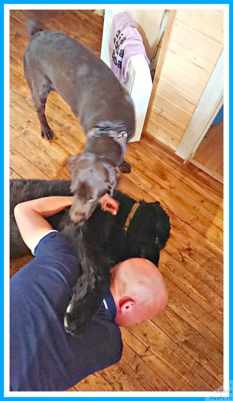 Фотография № 244182