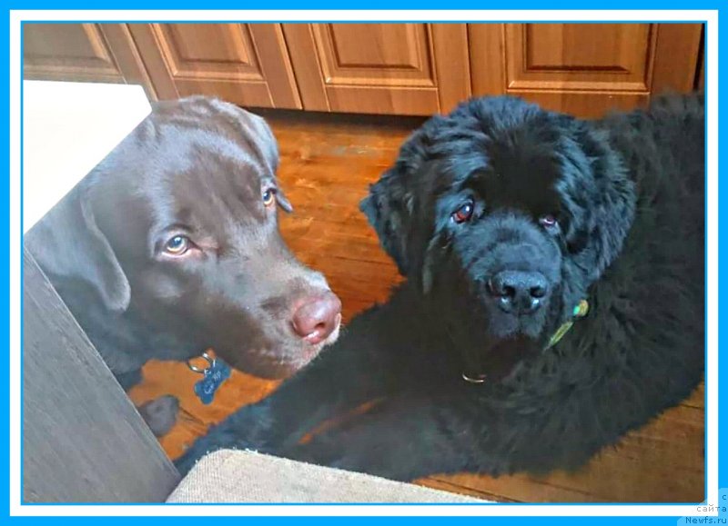 Фотография № 244184