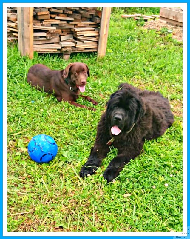 Фотография № 244186