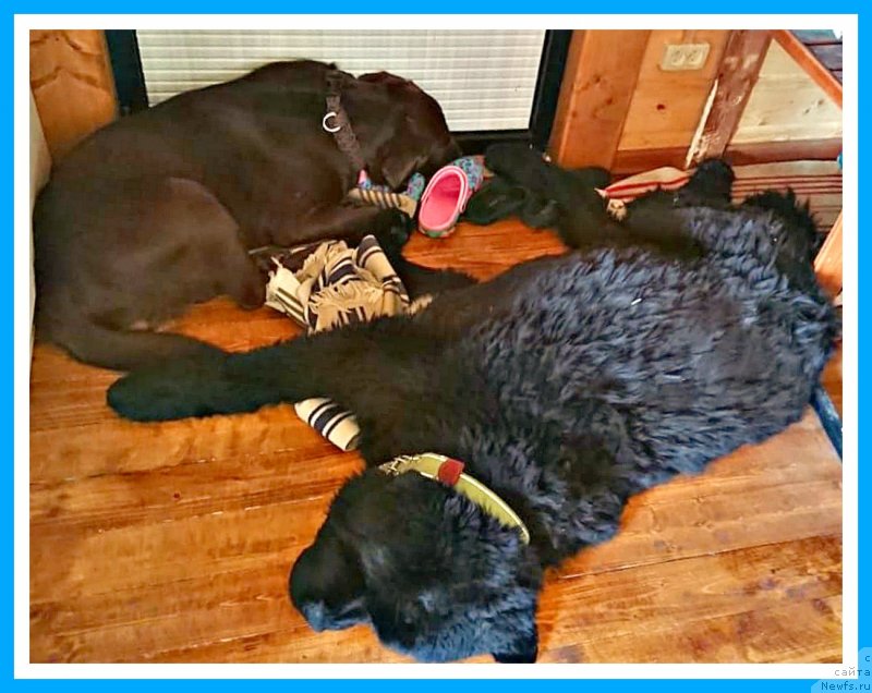 Фотография № 244187