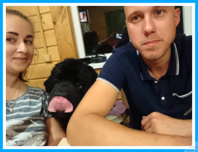 Фотография № 244188