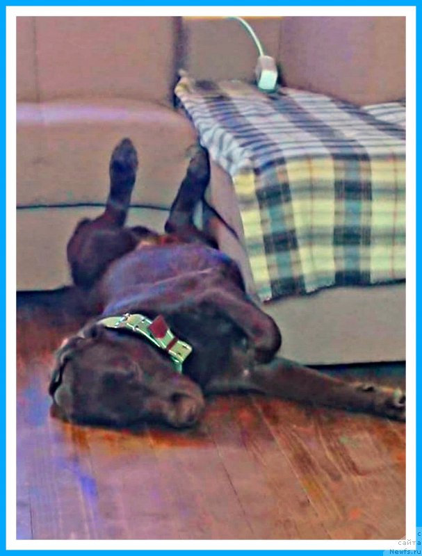 Фотография № 244191