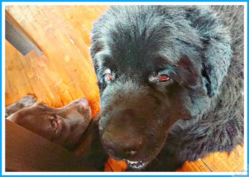 Фотография № 244280