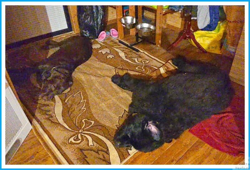 Фотография № 244283