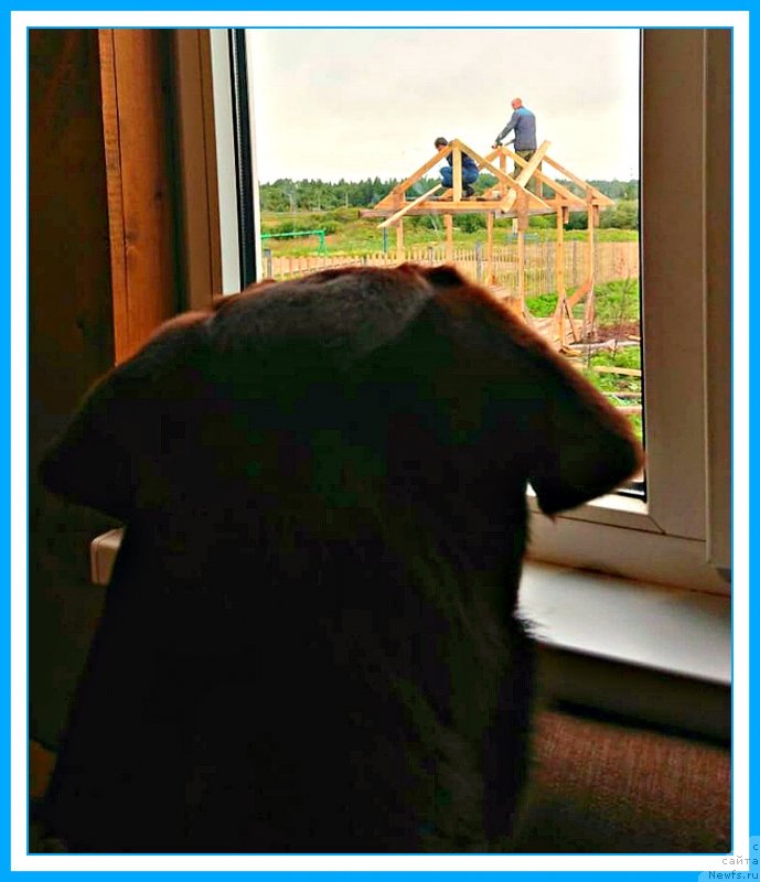 Фотография № 244284