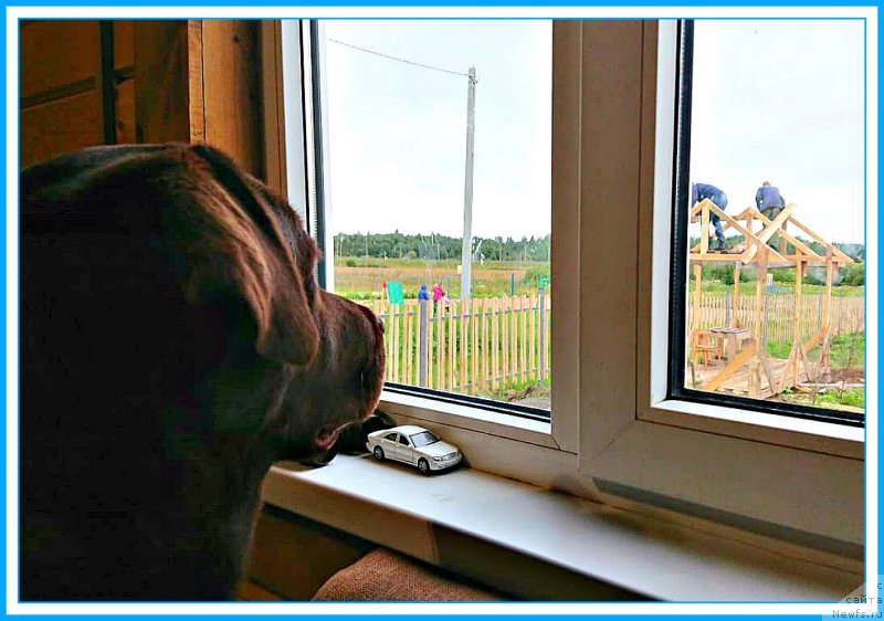 Фотография № 244285