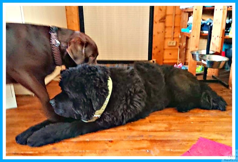 Фотография № 244287