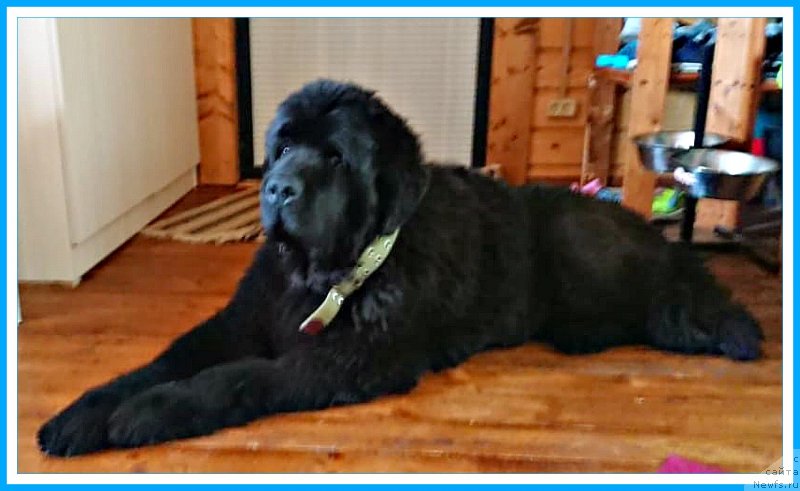 Фотография № 244288