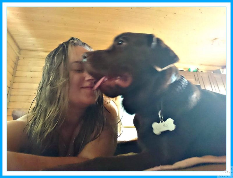 Фотография № 244289