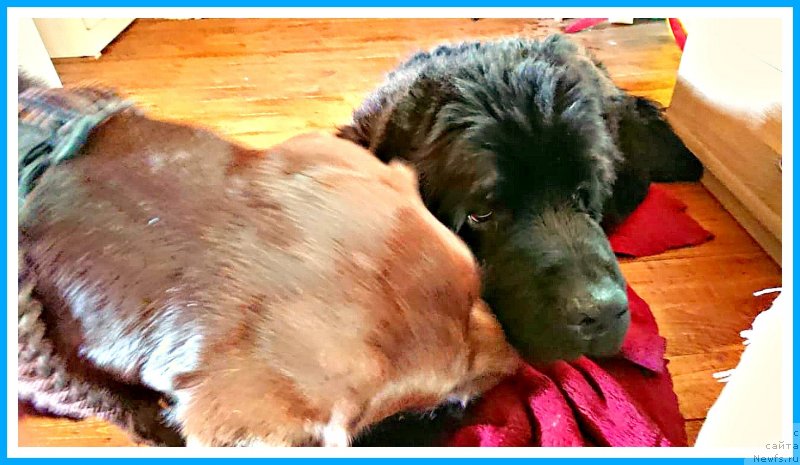 Фотография № 244291