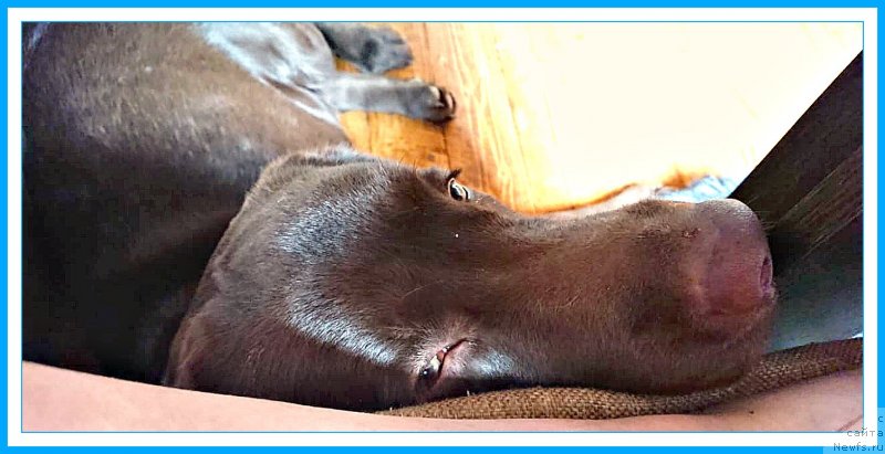 Фотография № 244293