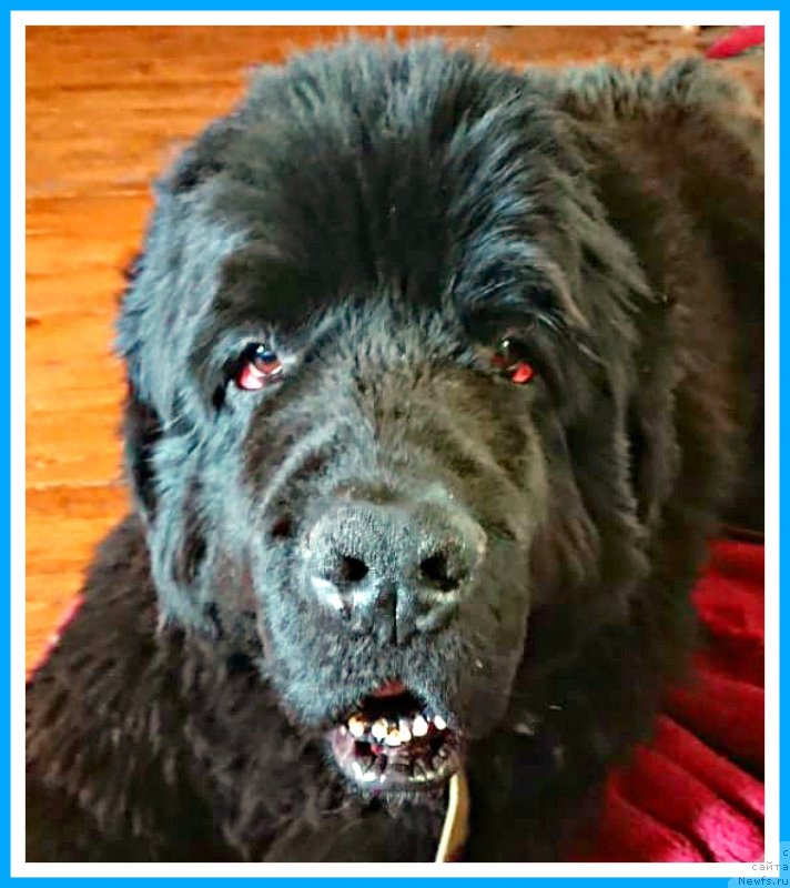 Фотография № 244295